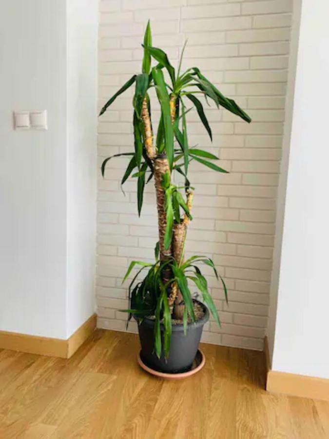 Apartament Puerto Banus Marbella Zewnętrze zdjęcie
