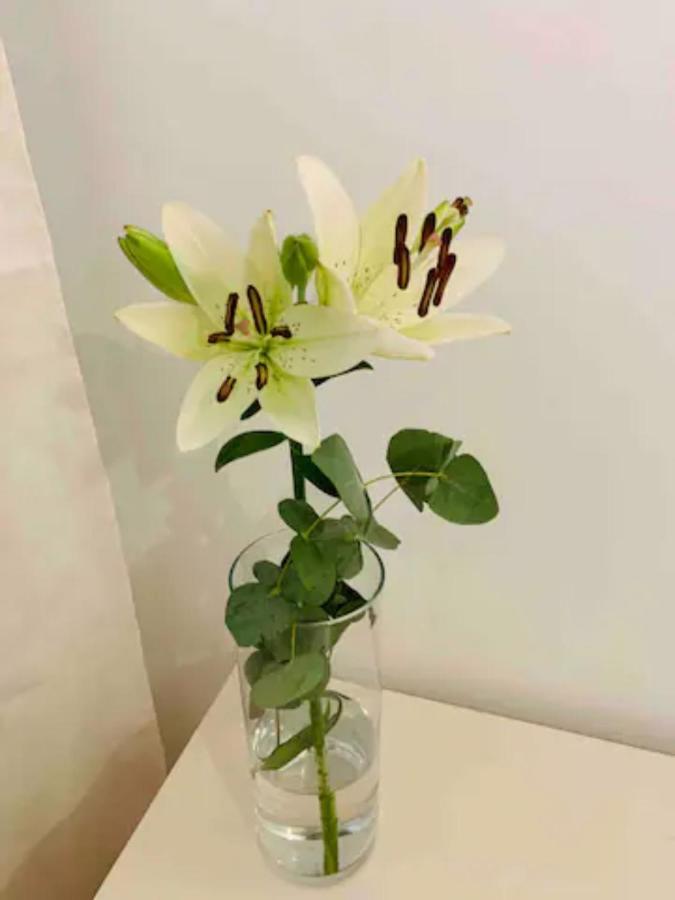 Apartament Puerto Banus Marbella Zewnętrze zdjęcie